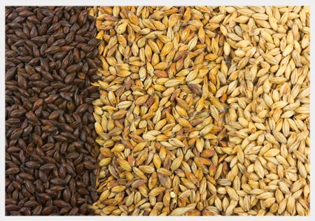 Barley Malt 3