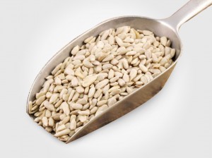 Sunflower kernels