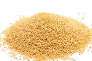 White french millet