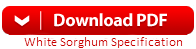whitesorghumpdf